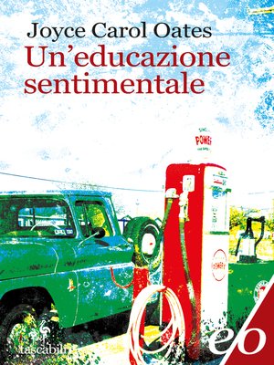 cover image of Un'educazione sentimentale